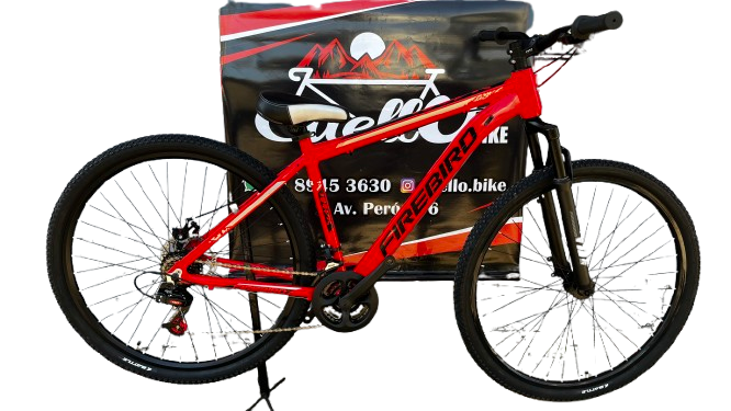 Bicicleta urbana